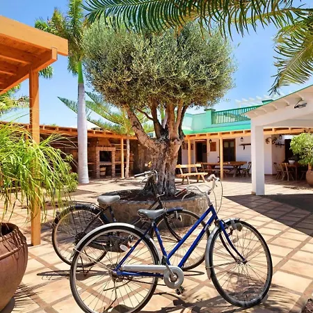 Вилла Lanzarote The Olive - Pool Heated